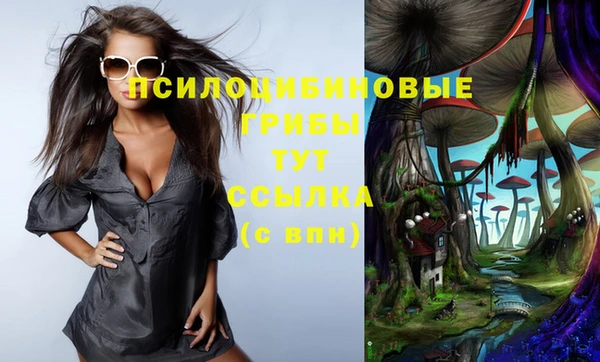 PSILOCYBIN Волосово