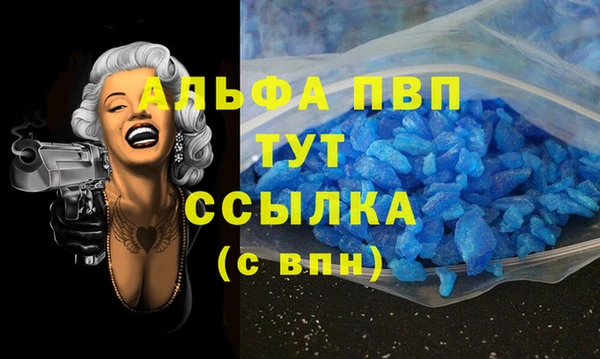 PSILOCYBIN Волосово