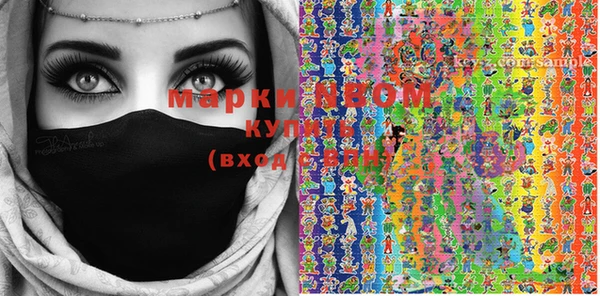 PSILOCYBIN Волосово