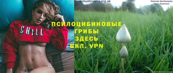 PSILOCYBIN Волосово