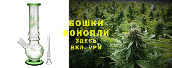 PSILOCYBIN Волосово
