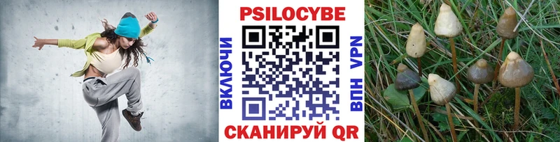 Псилоцибиновые грибы MAGIC MUSHROOMS  Брюховецкая 